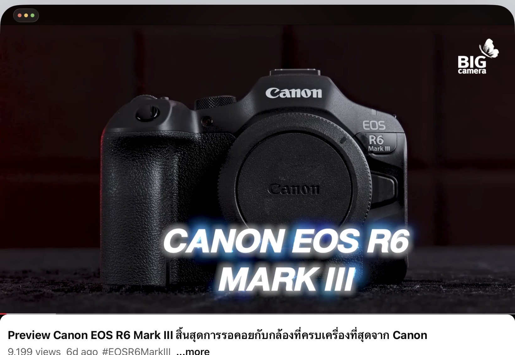 Canon EOS R6 Mark III